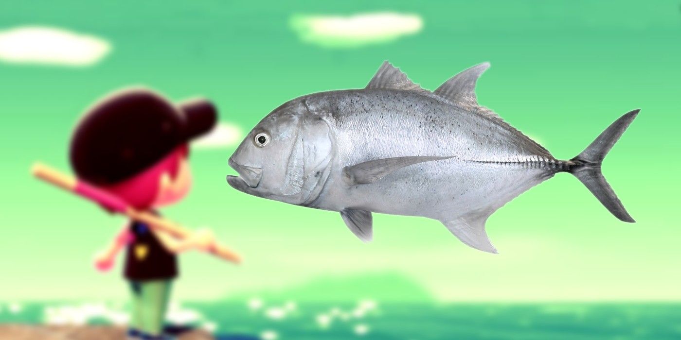 What Animal Crossing’s Rarest Fish Look Like In Real Life