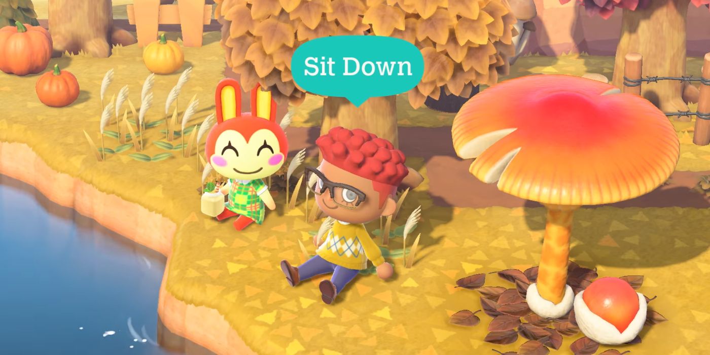 Animal Crossing New Horizons Sit Reaction Update