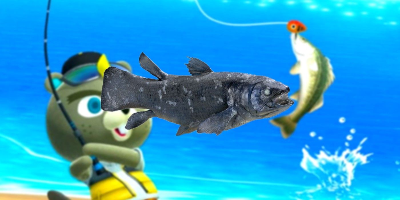 What Animal Crossing's Rarest Fish Look Like In Real Life