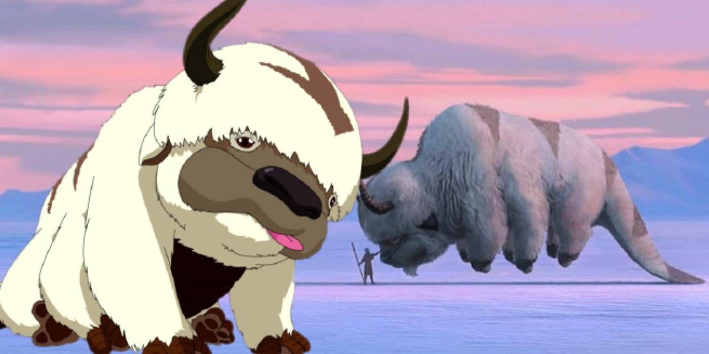 Is appa the last sky bison