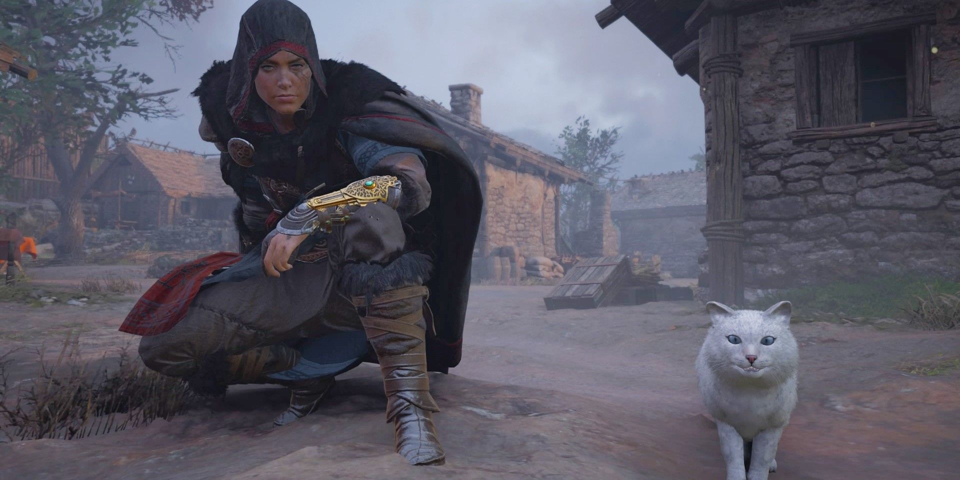 Assassin's Creed Valhalla Eivor and cat