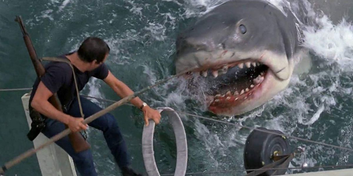 Brody fights the shark in Jaws