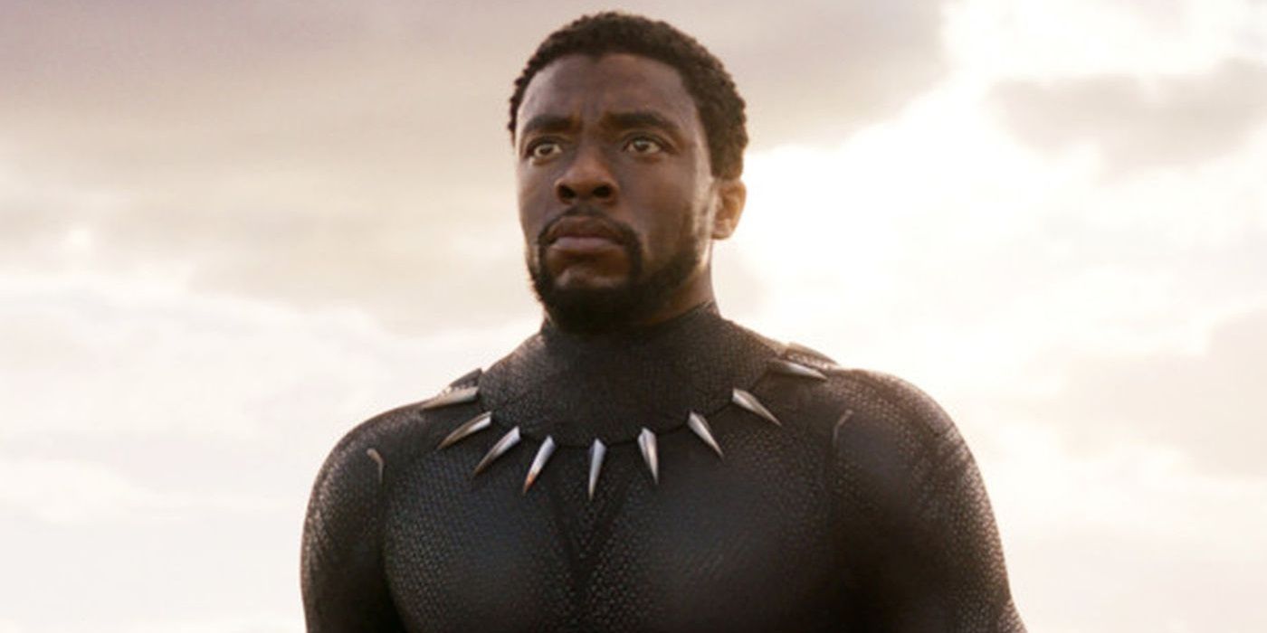 Chadwick Boseman as T'Challa in Black Panther looking over the battlefield.