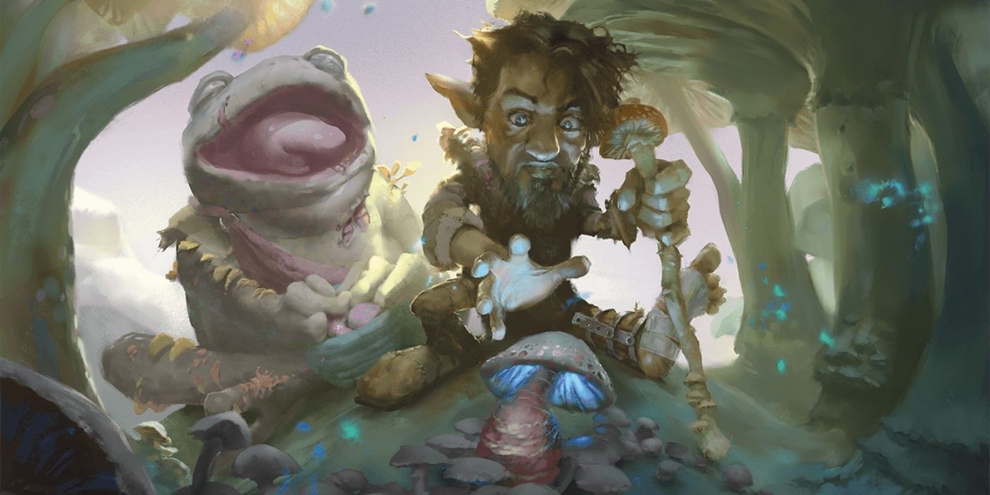 DD Tashas Cauldron of Everything Gnome Druid of Spores picks mushrooms with his bullywug zombie companion