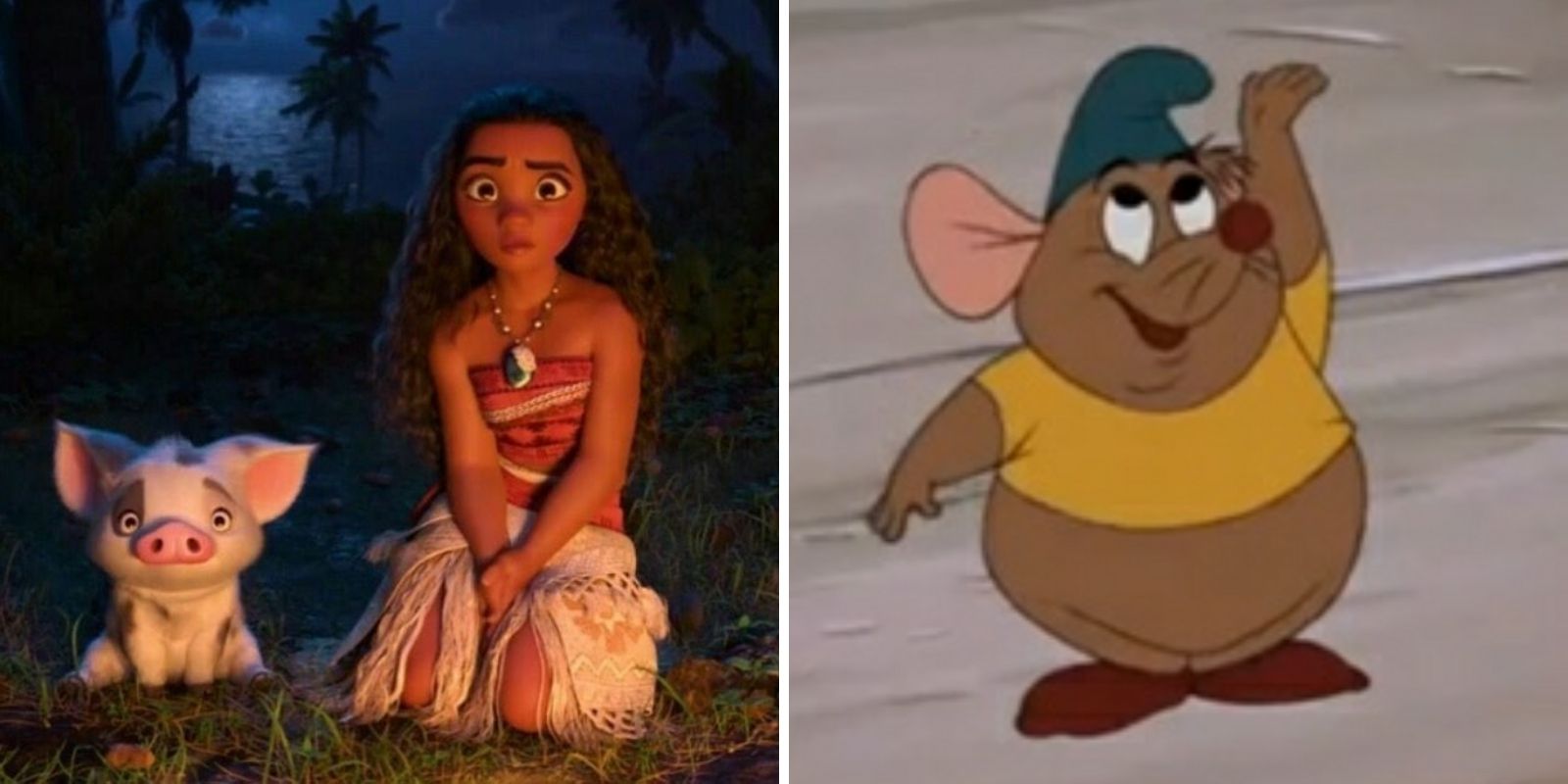 Moanas Pua (& 9 Other Adorable Disney Animals)