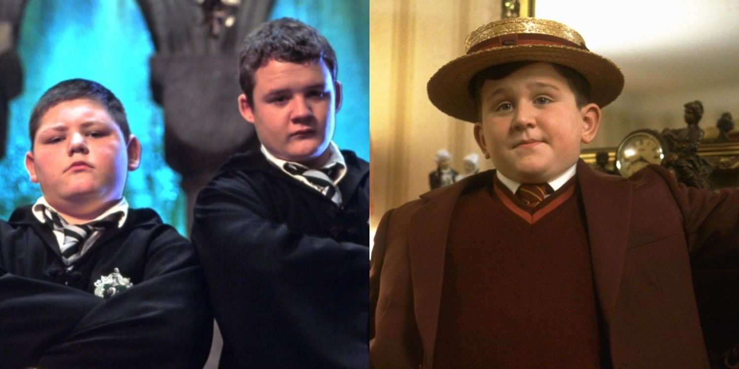 Dudley And Crabbe And Goyle