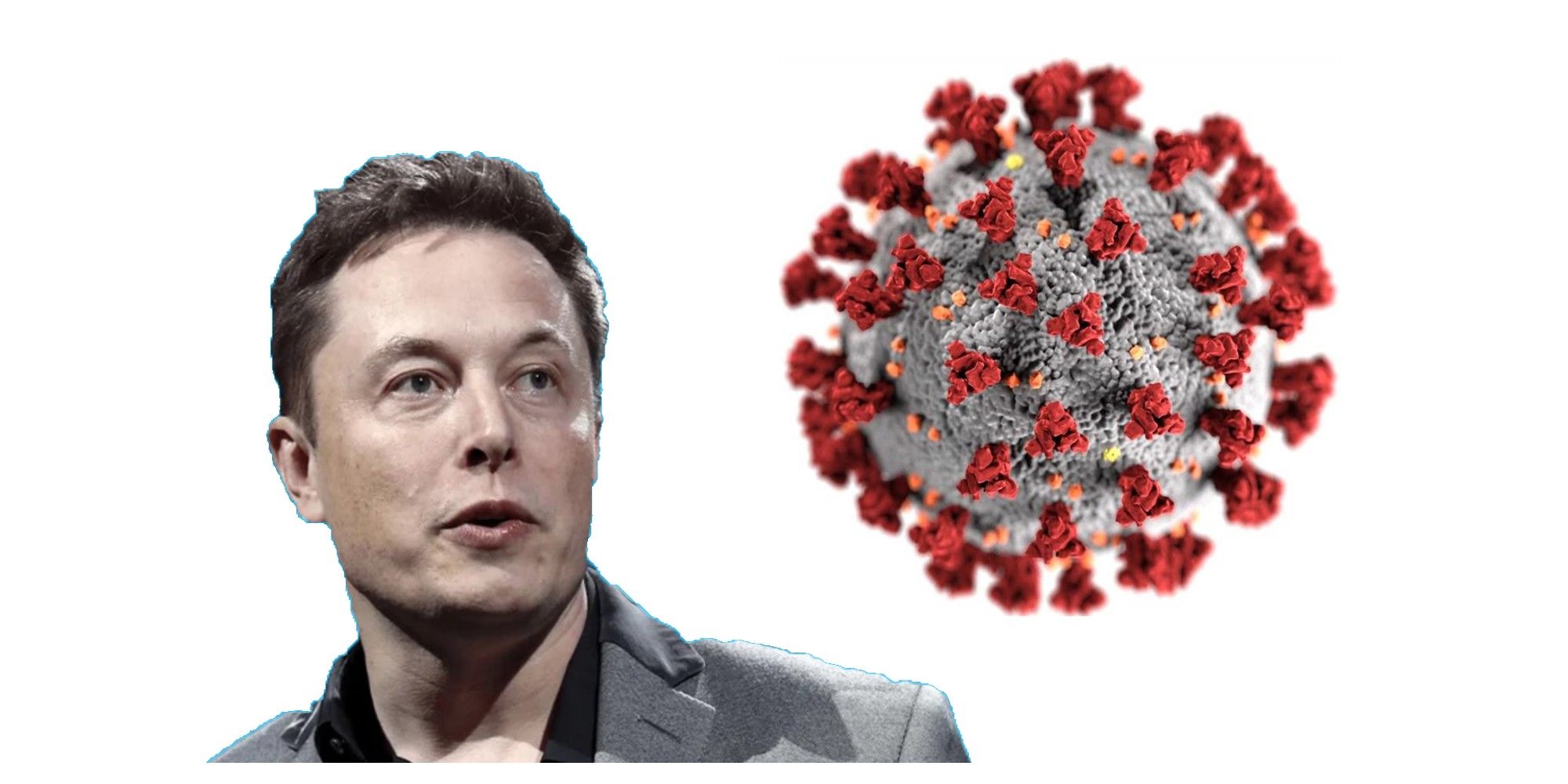 Elon Musk Covid Test results