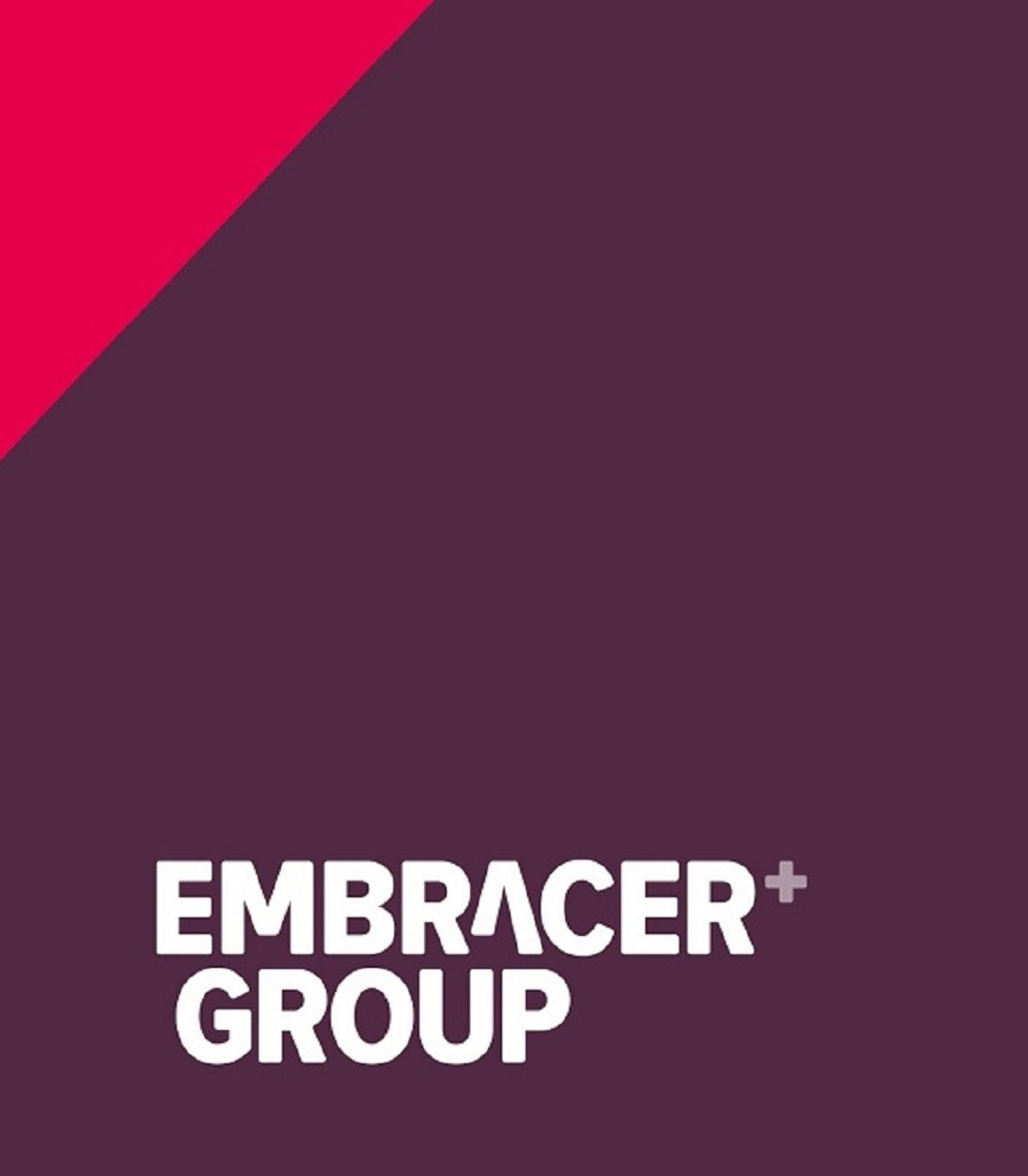 Embracer Group Vertical