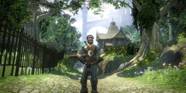 Fable 2 Best Things To Do After Beating The Game