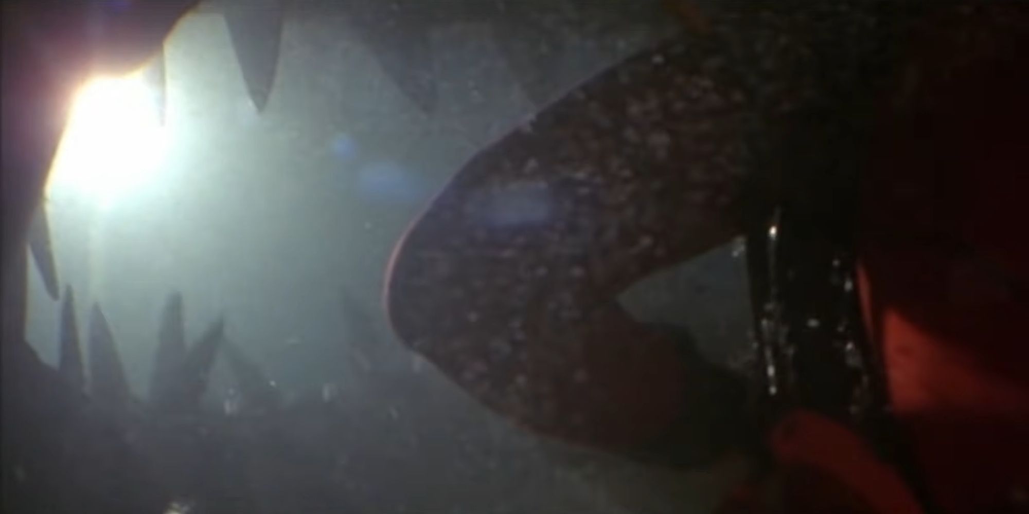 Fitzroyce inside the mother shark's mouth in Jaws 3D