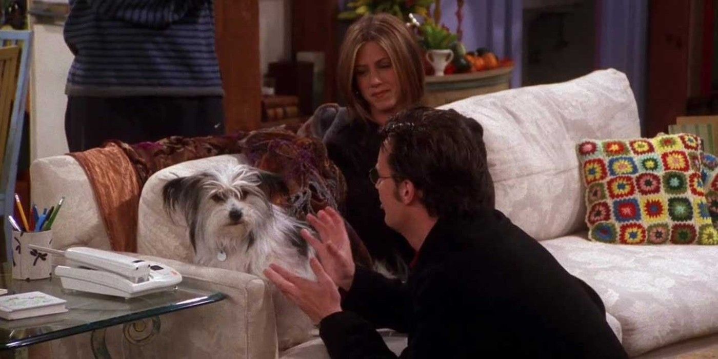 Chandler and Rachel playing with a dog at Monica's apartment in Friends.