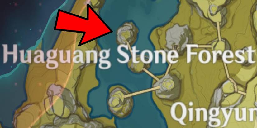 Where Can You Find Bird Eggs: Top Secret Spots Revealed