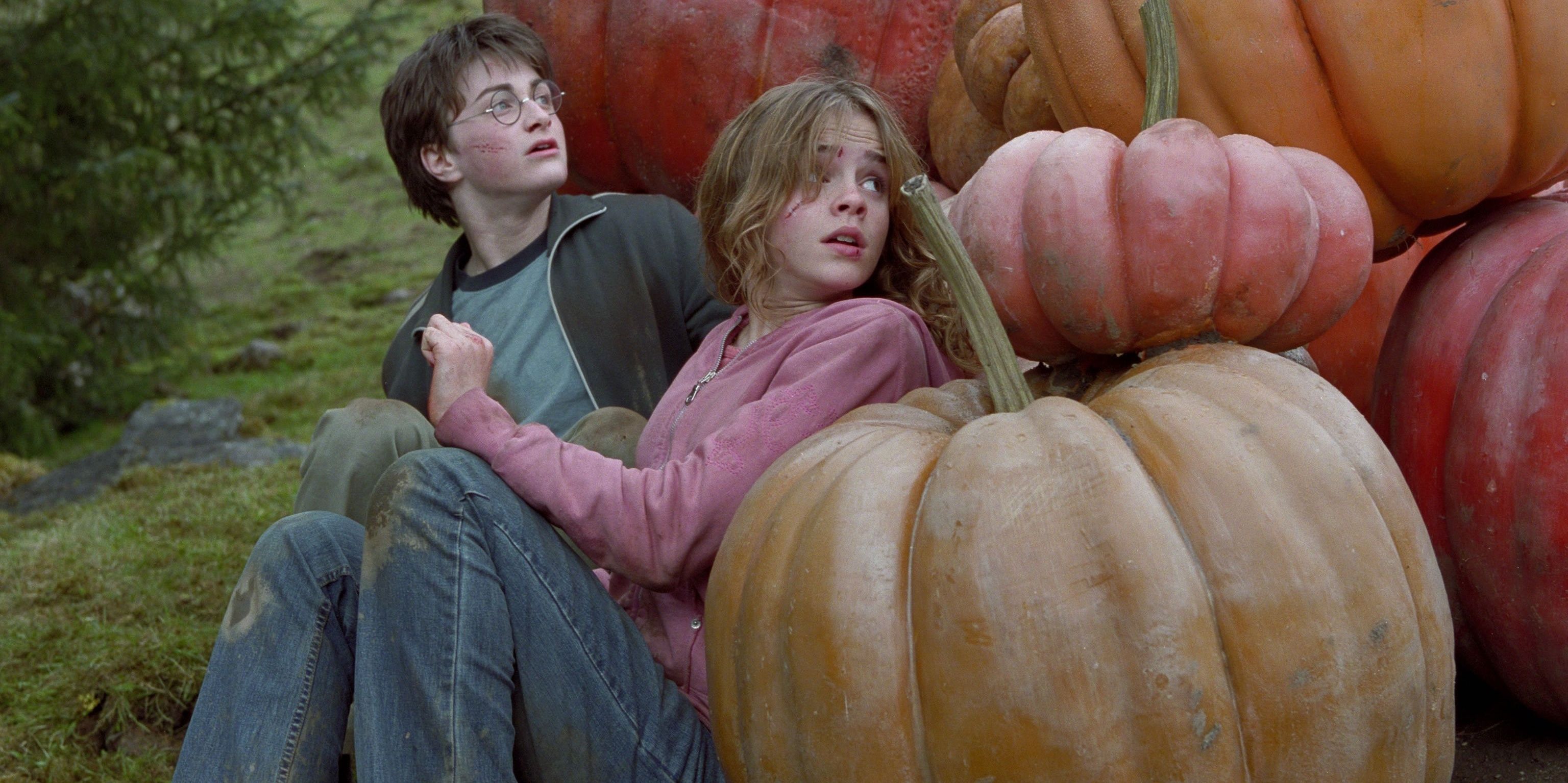 Harry Potter Pumpkins Hermione