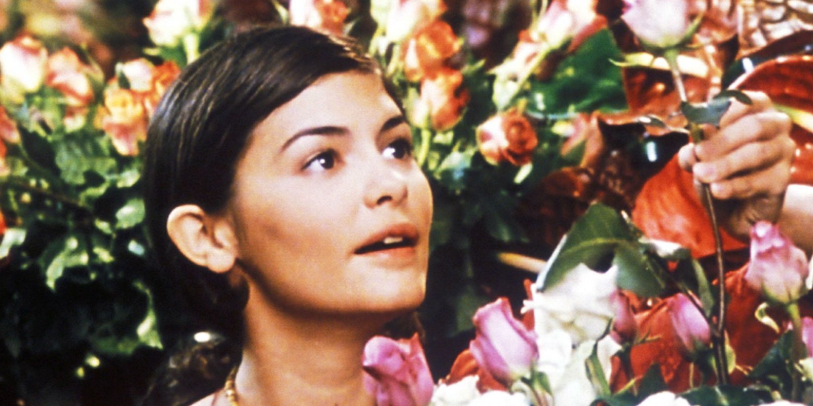 He Loves Me He Loves Me Not Audrey Tautou