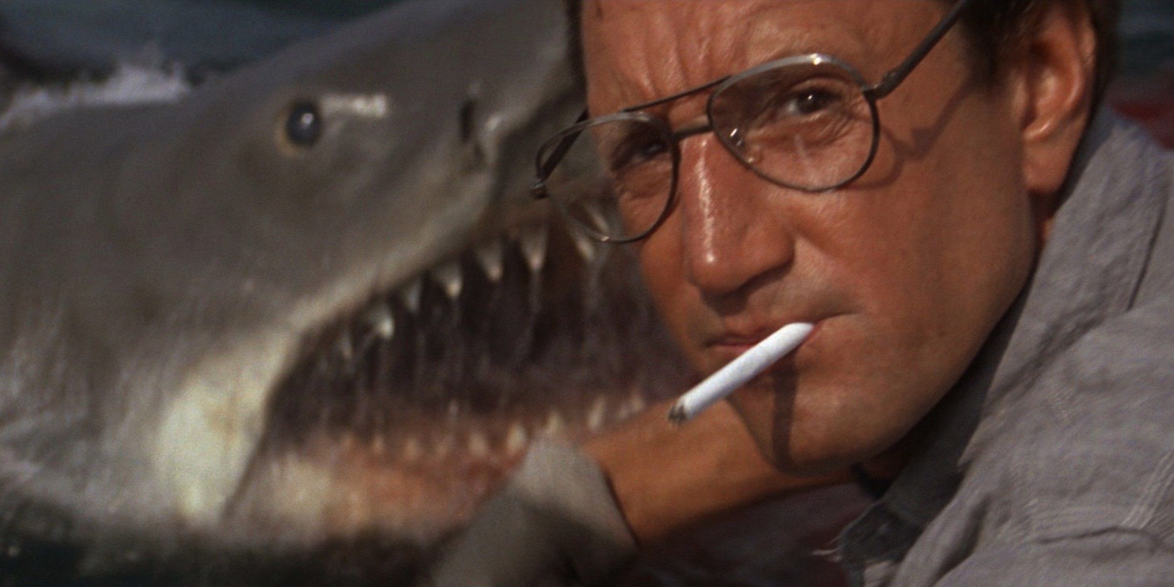 Martin Brody in Jaws