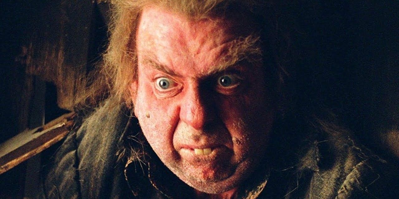 A close-up of Peter Pettigrew in Harry Potter