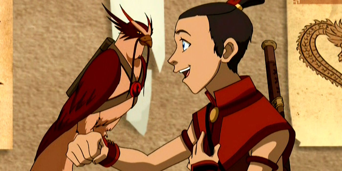 Sokka and Hawky in Avatar The Last Airbender
