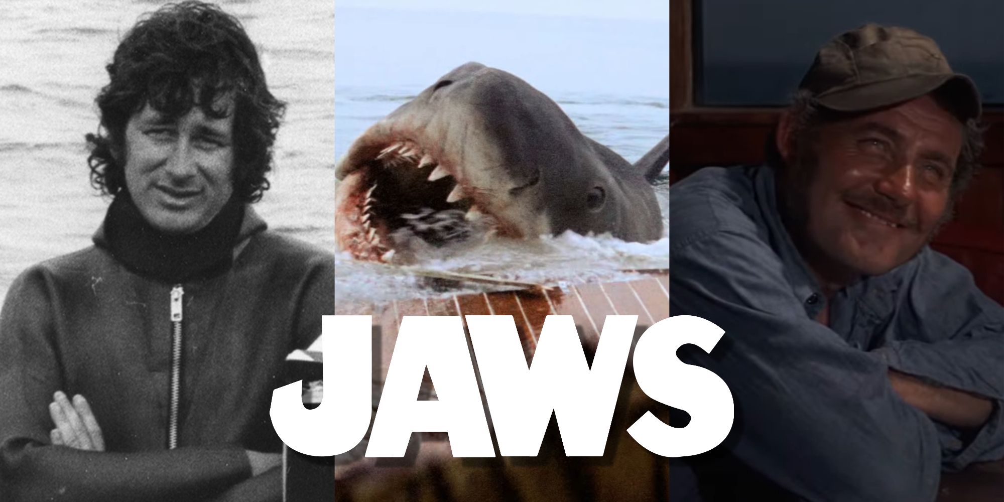 Split image of Steven Spielberg, Bruce the shark, and Quint in Jaws