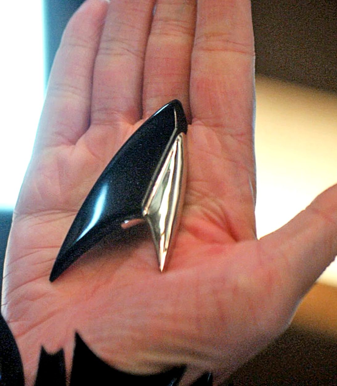 Star Trek Discovery Delta Badge Vertical