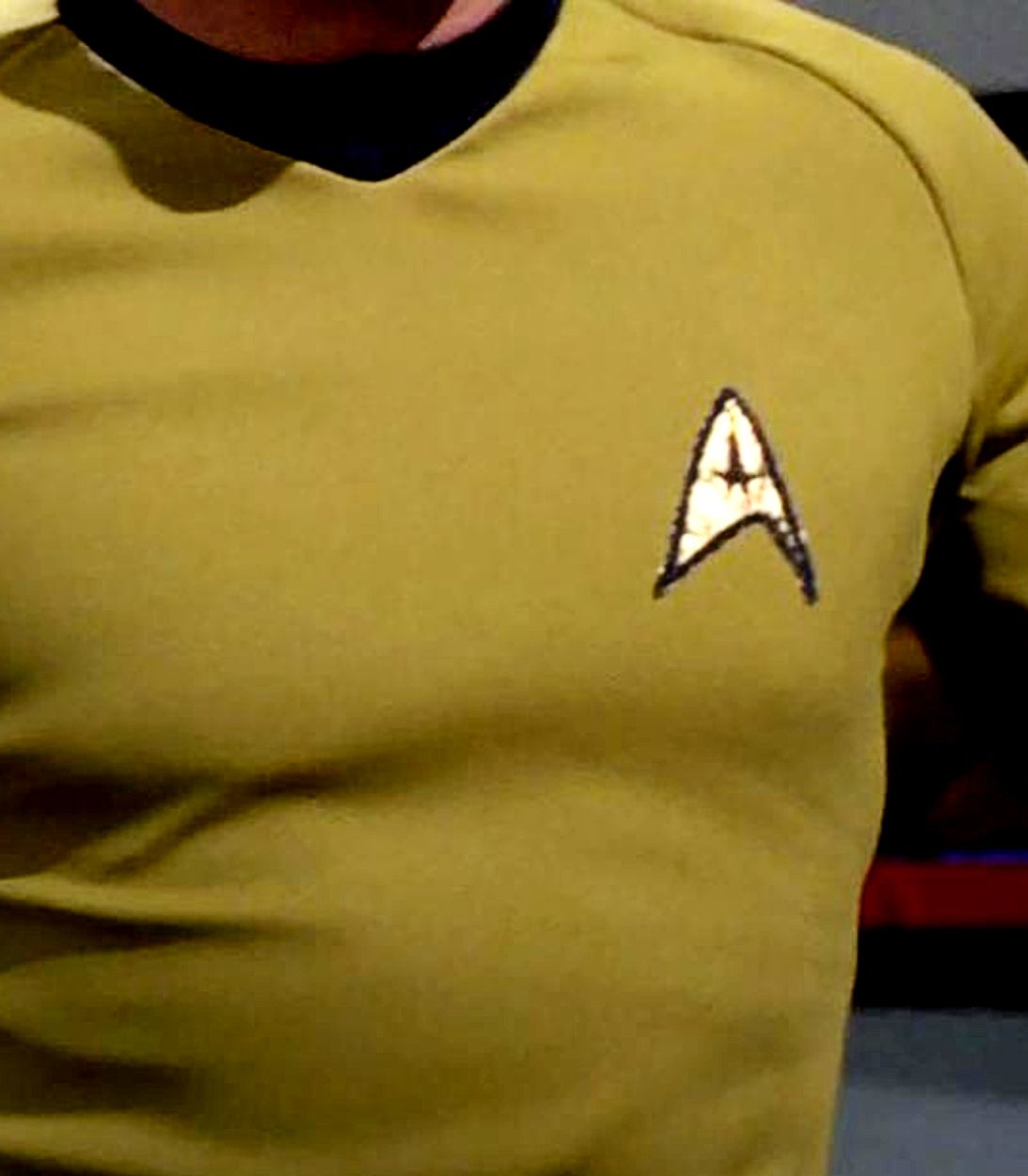 Star Trek The Original Series Enterprise Insignia Vertical