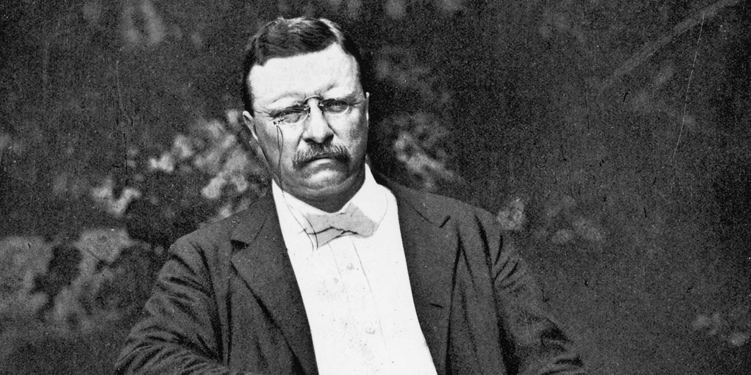 Teddy Roosevelt