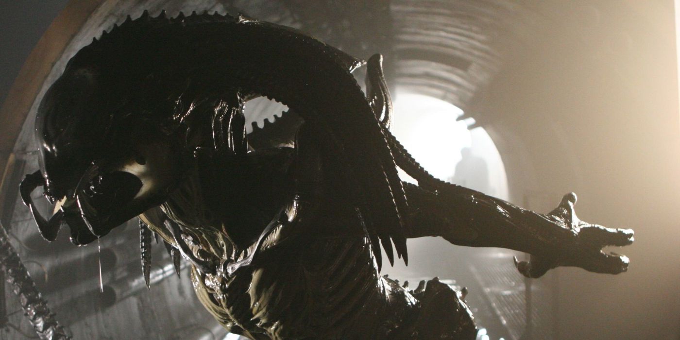 Alien: Every Xenomorph In The Franchise, Ranked