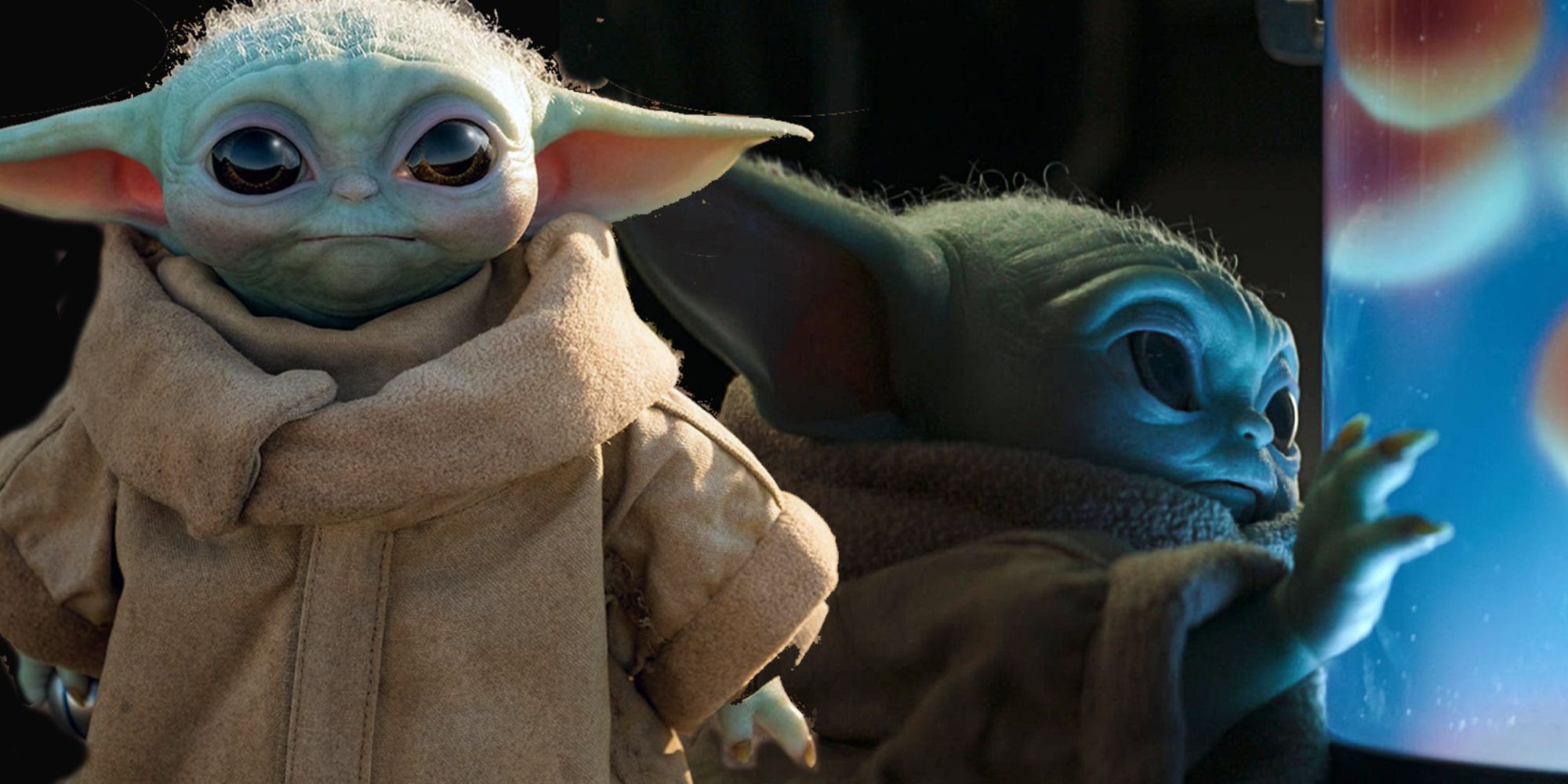 Baby Yoda's Instincts Reveal More About Yoda's Species
