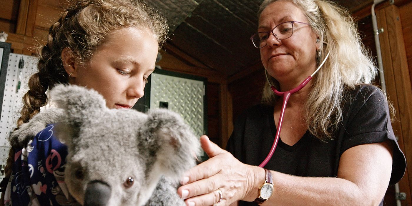 A woman and young girl check the heartbeat of a Koala in Izzy's Koala World