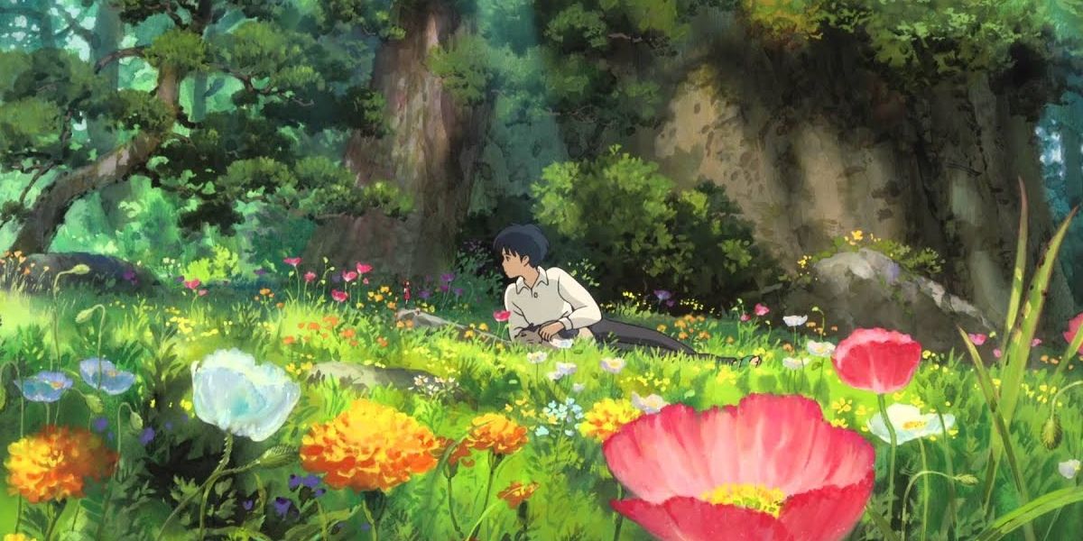 boy in flower field
