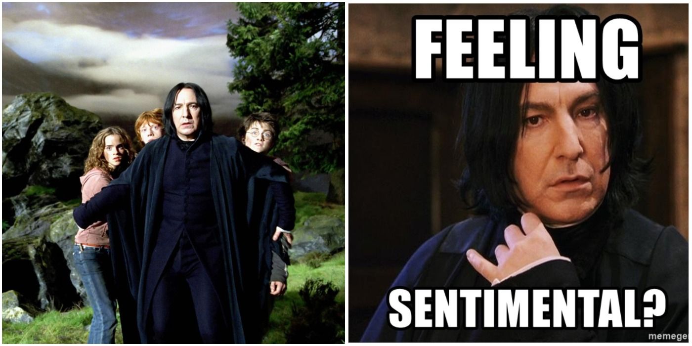 Harry Potter: 10 Hilarious Memes That Prove Snape Cared For Harry