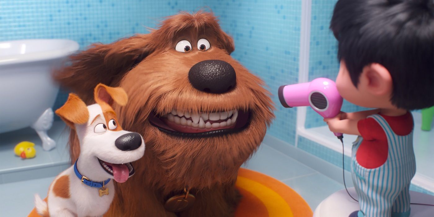 Dogs being blow-dried in The Secret Life of Pets 2