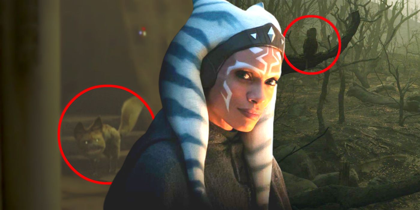 Ahsoka Tano Wasnt The Only Rebels Cameo In The Mandalorian