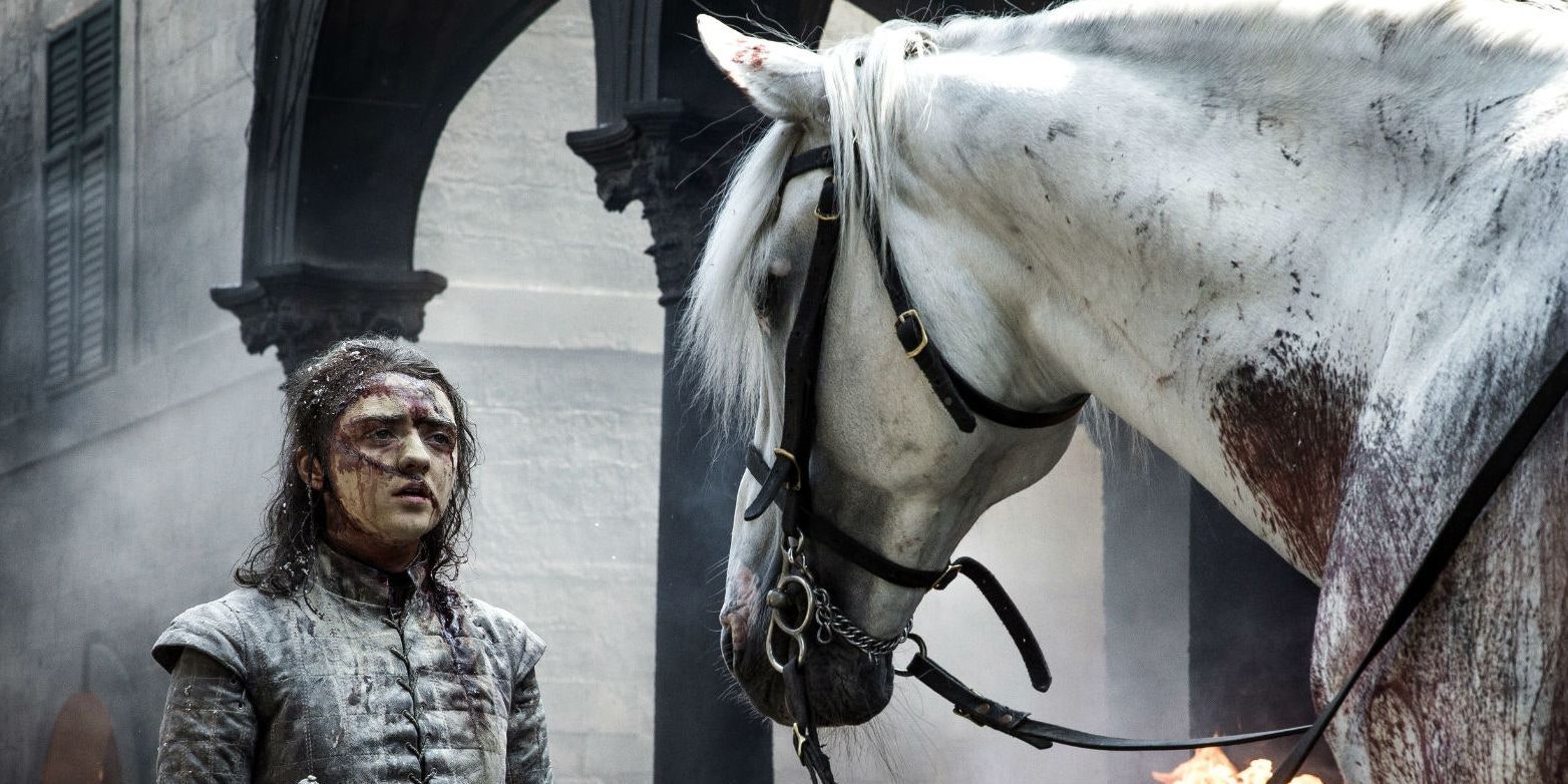 Game of Thrones 5 Times Arya Stark Proved She Was The Hero (& 5 Times