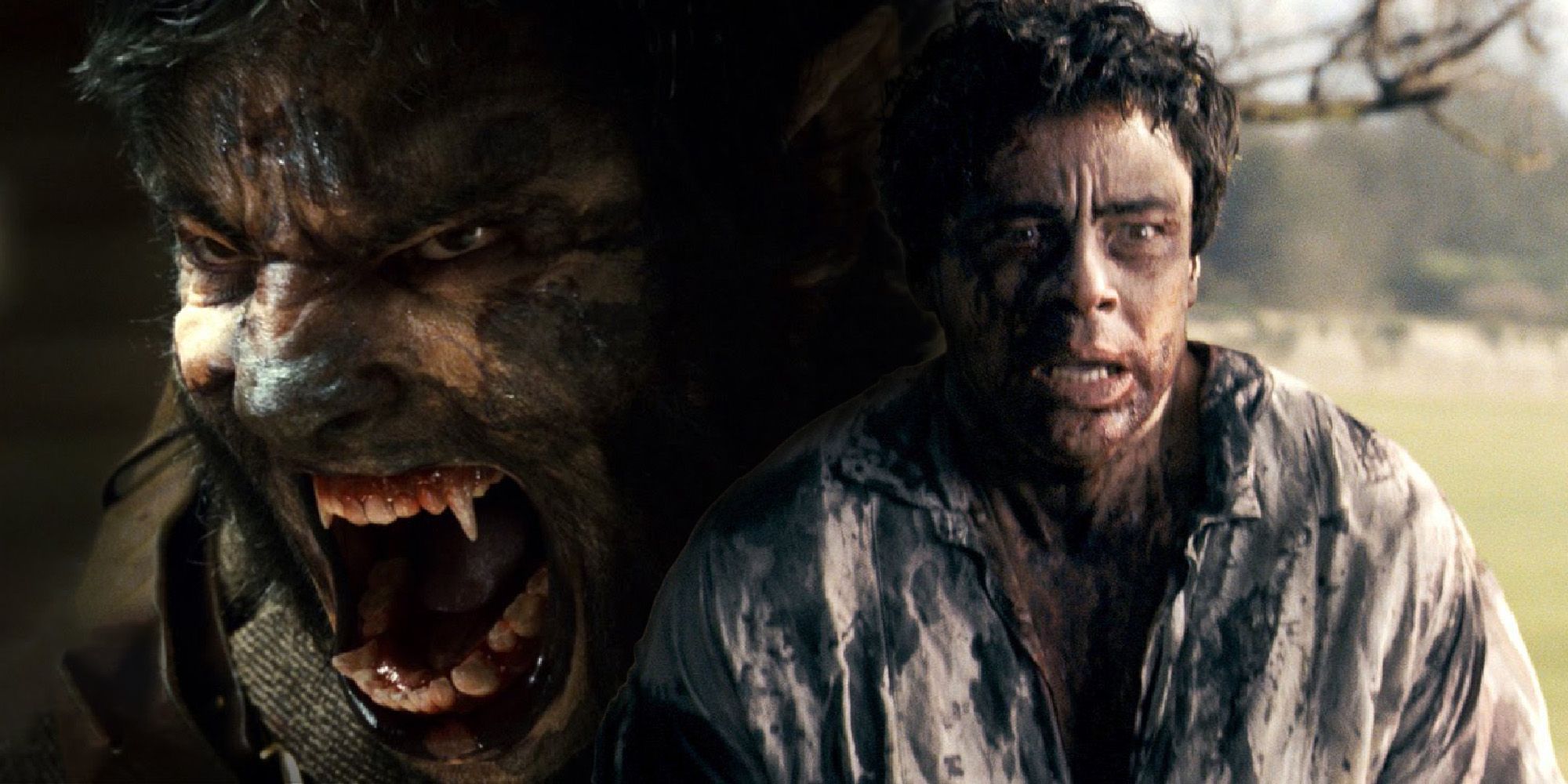 A collage of Benicio del Toro as a human and a werewolf