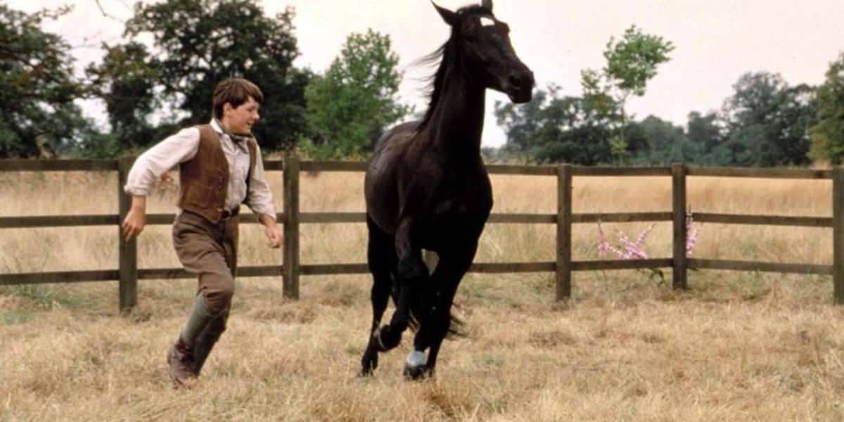 Andrew Knott and Alan Cummings in Black Beauty 1994