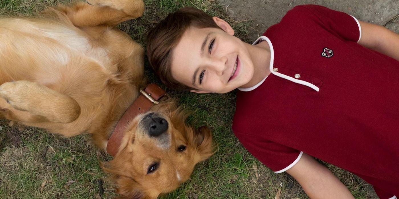 A boy and his dog lie on their backs on the grass in A Dog's Purpose