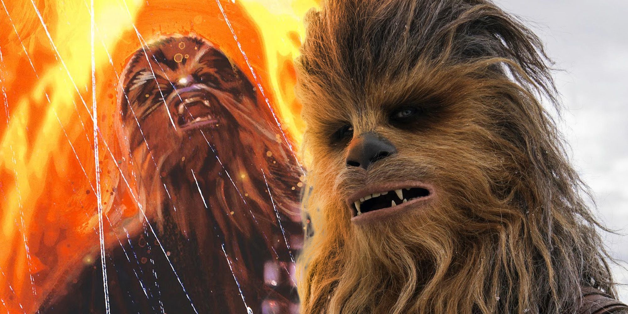Chewbacca death star wars legends EU