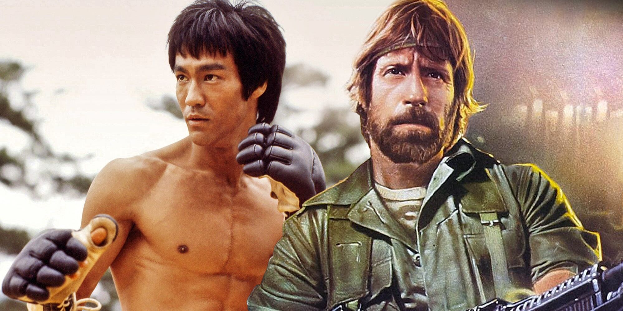 Chuck norris influence on Bruce lee
