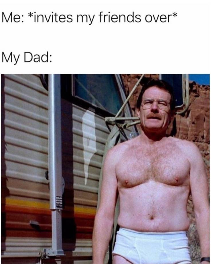 Breaking Bad : 10 Hilarious Walter White Memes! 11 Dad Bod.jpg?q=50&fit=crop&w=737&h=921&dpr=1