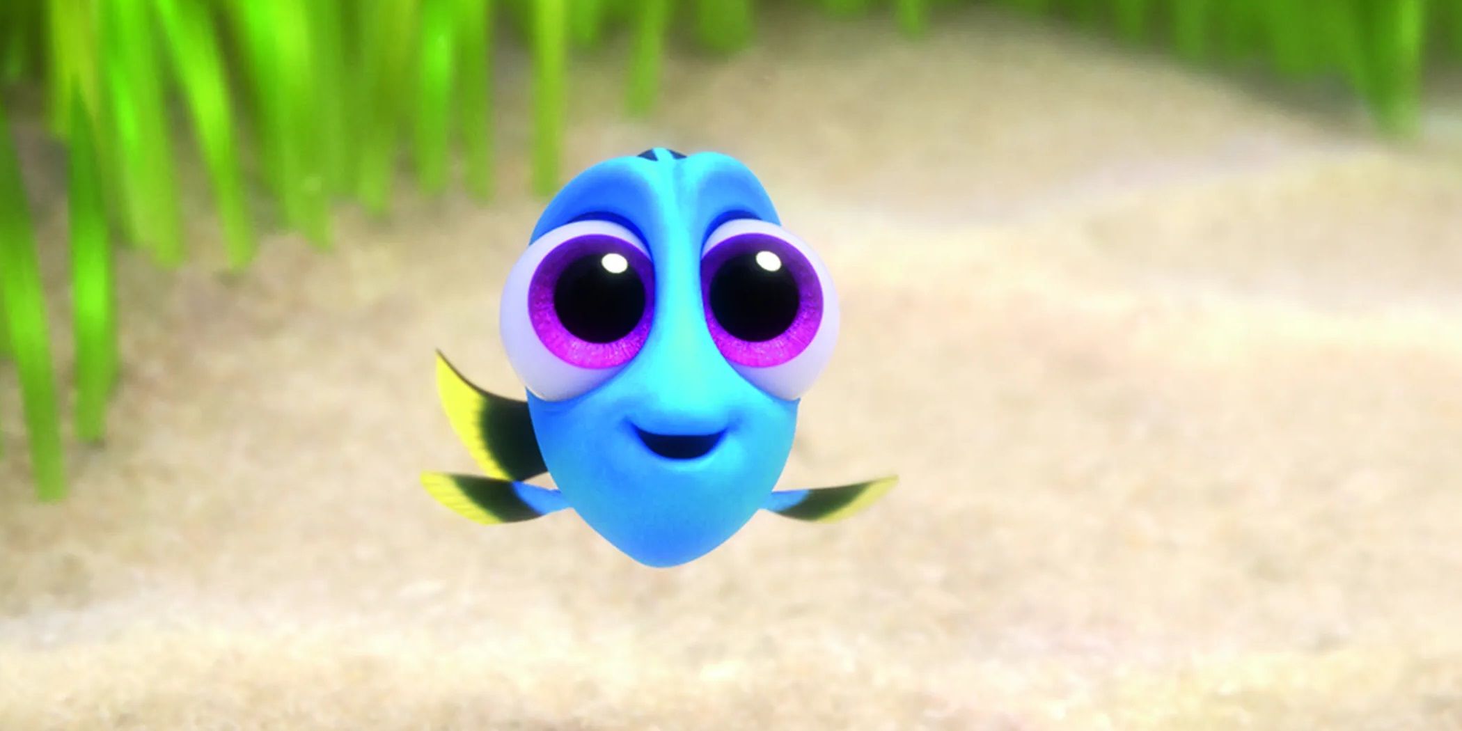 Dory as a baby