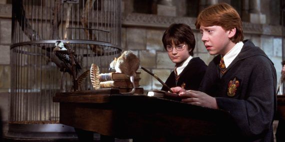 Harry Potter Transfiguration