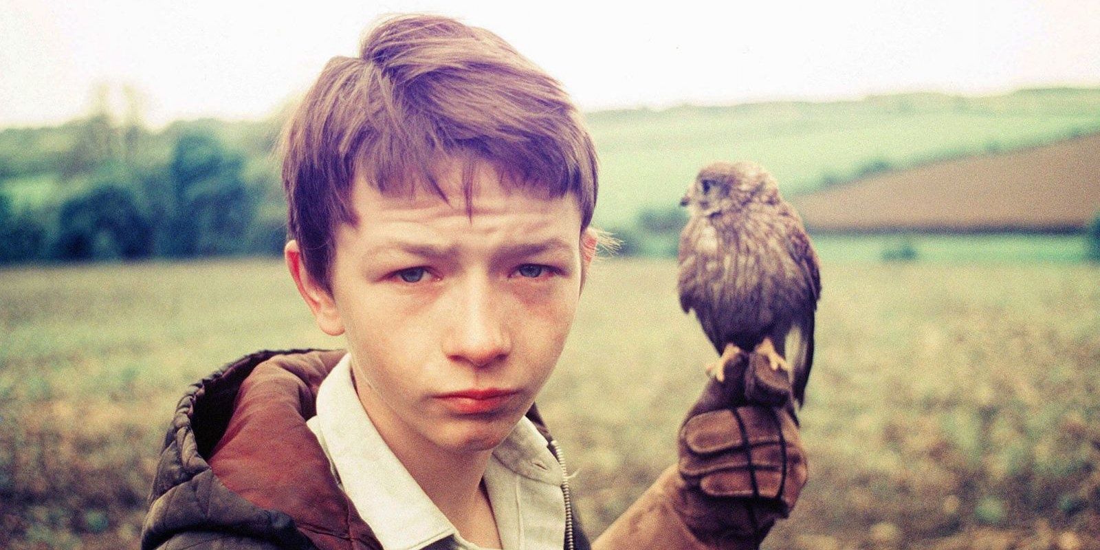 Billy has a kestral perched on his hand in Kes