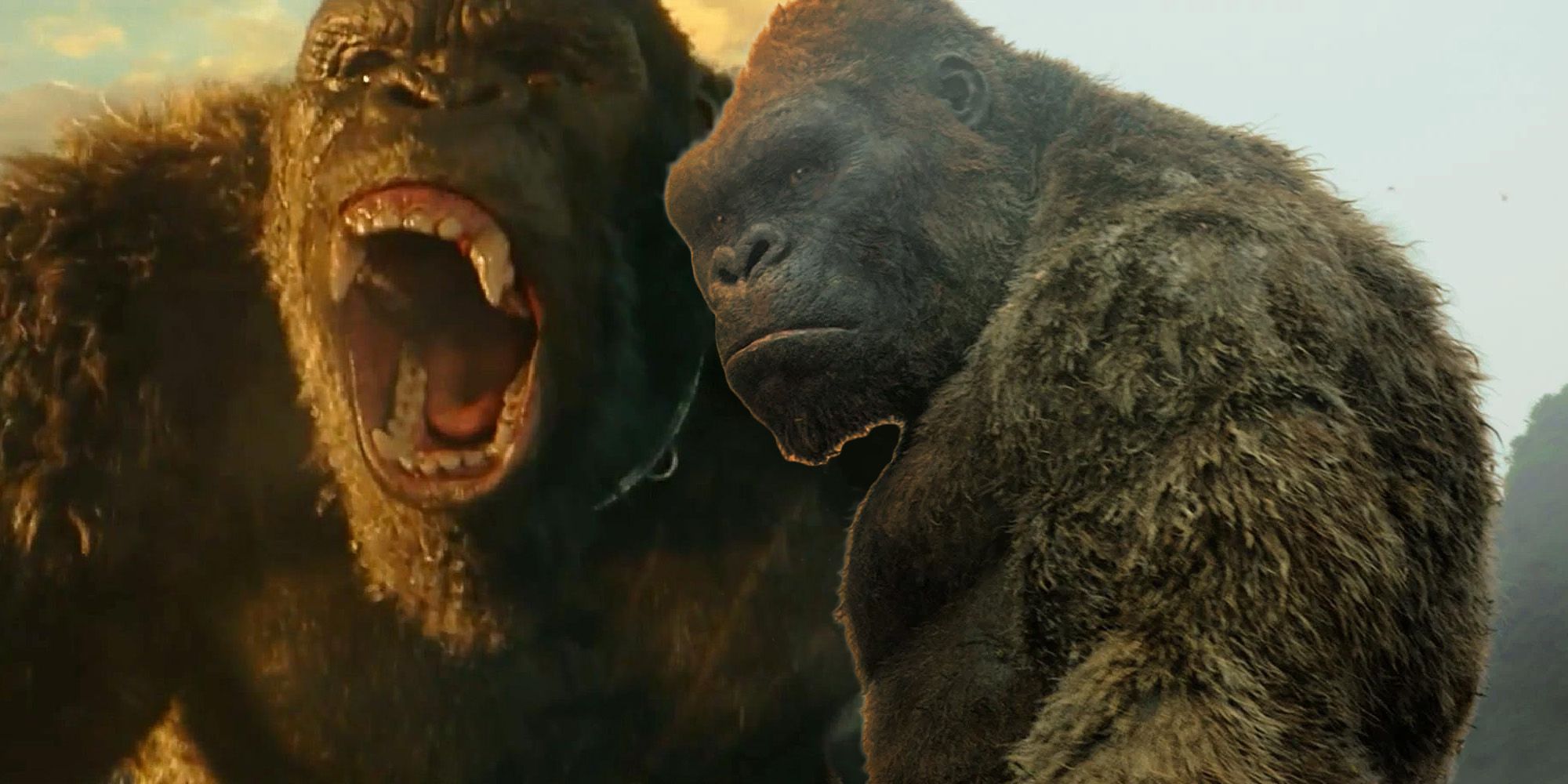 Godzilla Vs Kong How First Footage Confirms Kong S Height Change