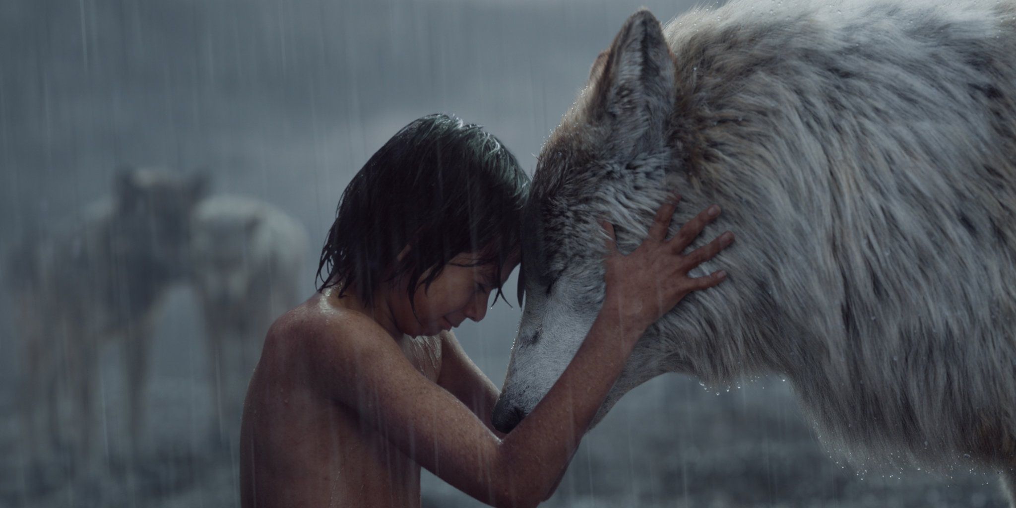 Mowgli and a wolf in The Jungle Book
