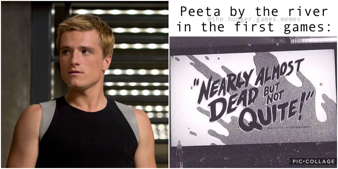 The Hunger Games 10 Memes Peeta Mellark Fans Will Love
