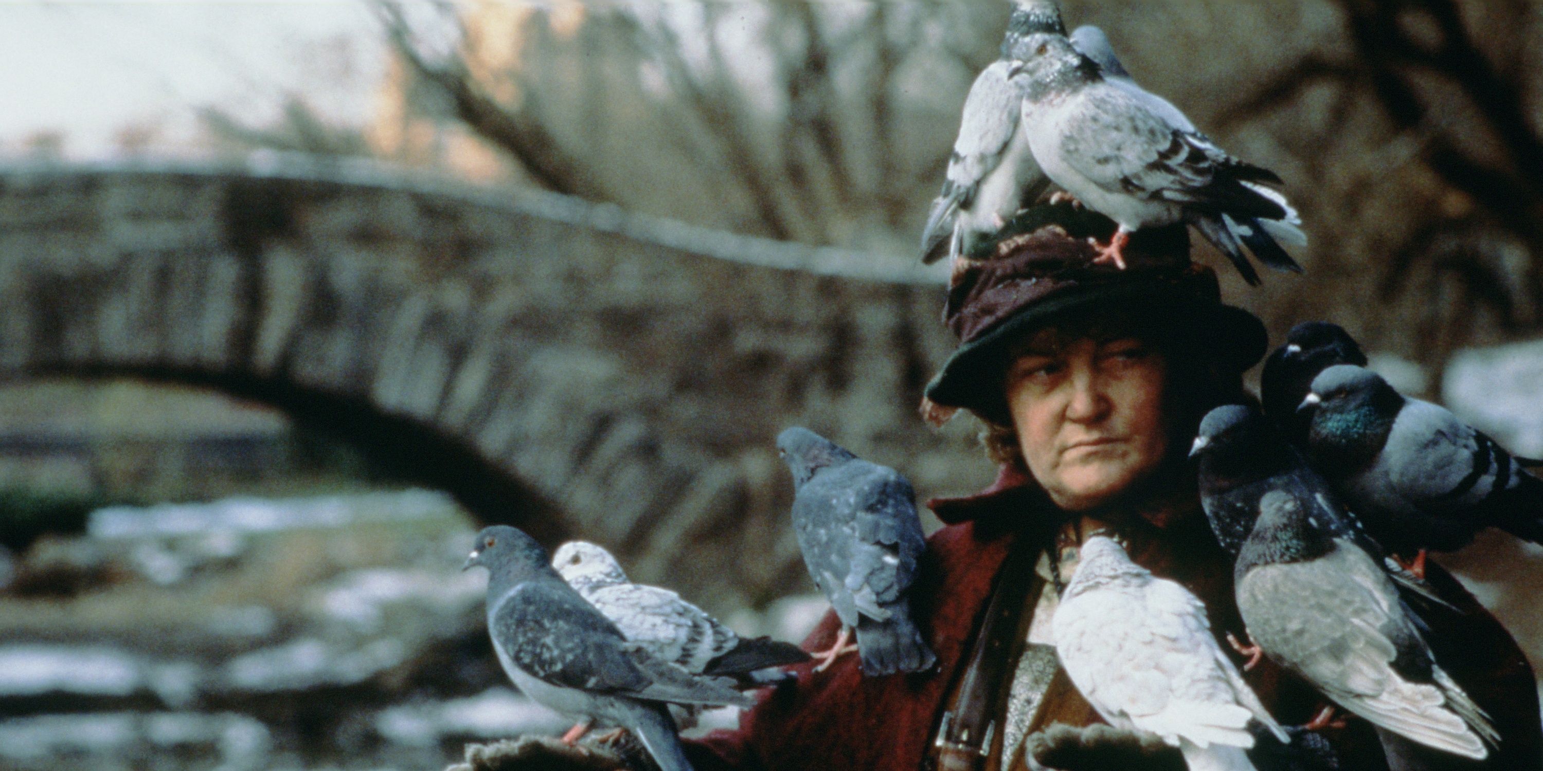 Pigeon Lady in Central Park