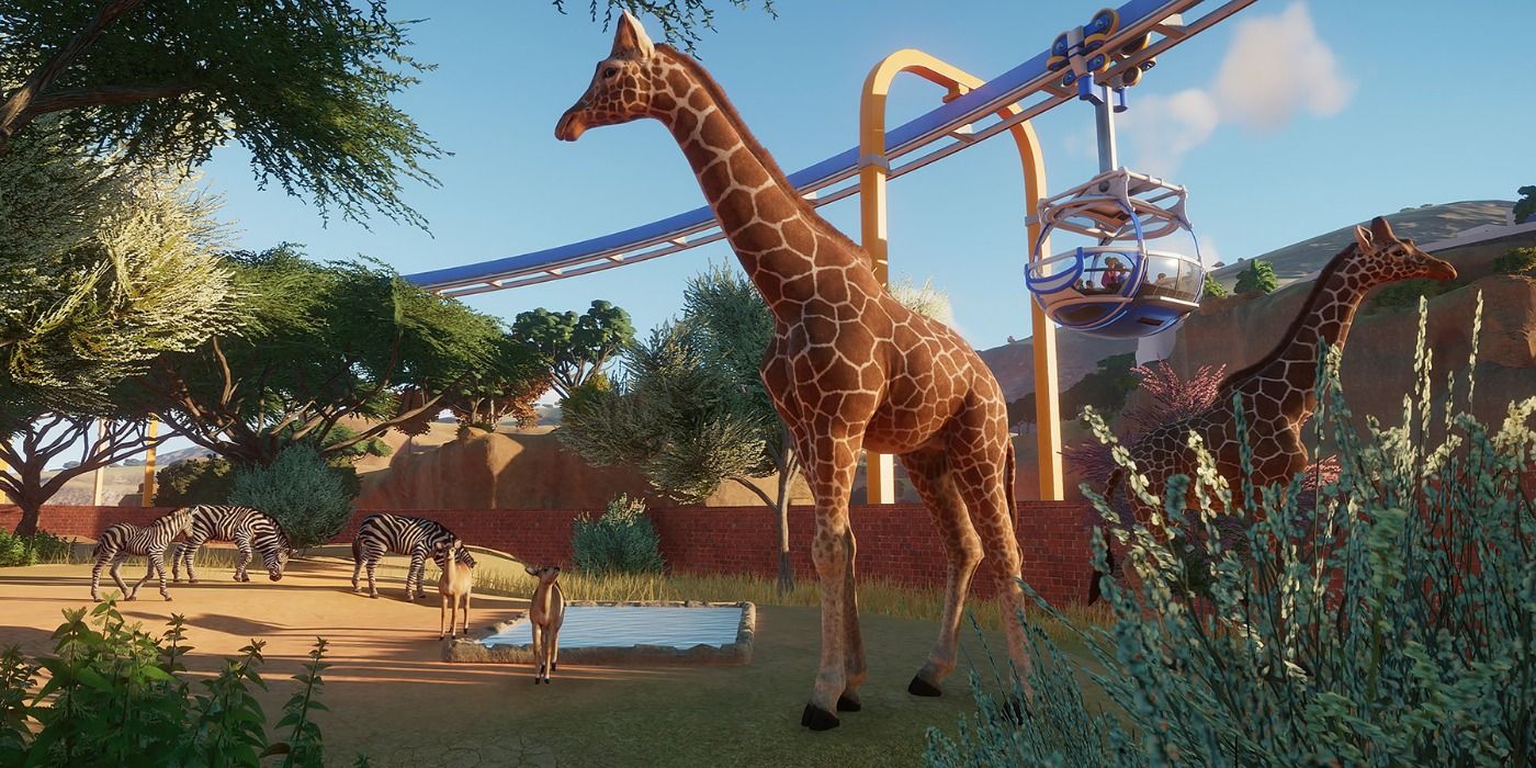 Planet Zoo Giraffe Feature