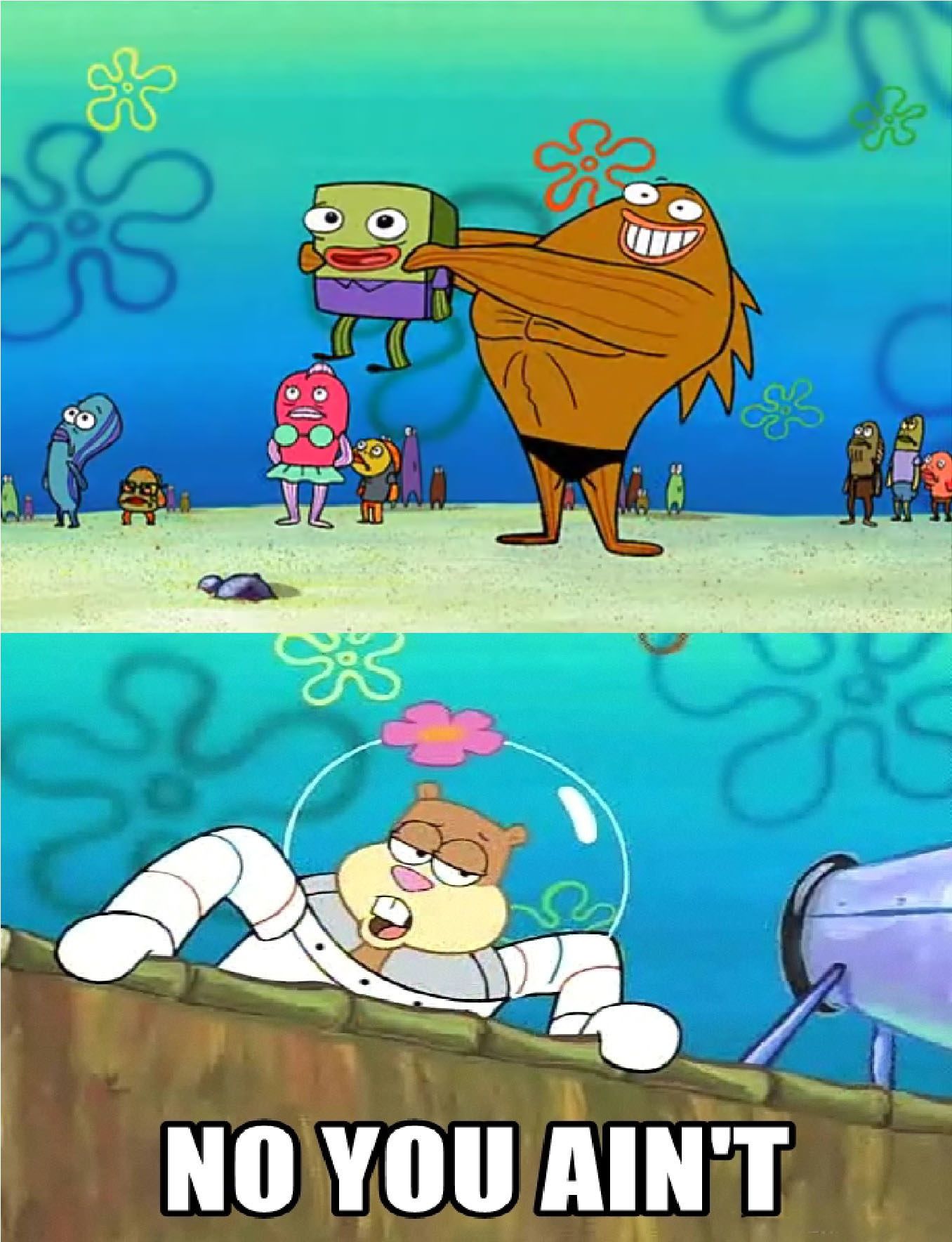Sandy Meme SpongeBob SquarePants