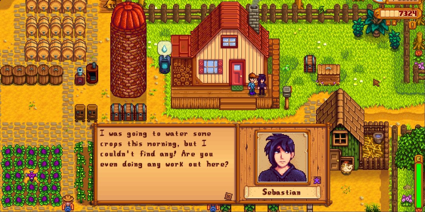 Stardew Valley: все 12 кандидатов на брак и их личности