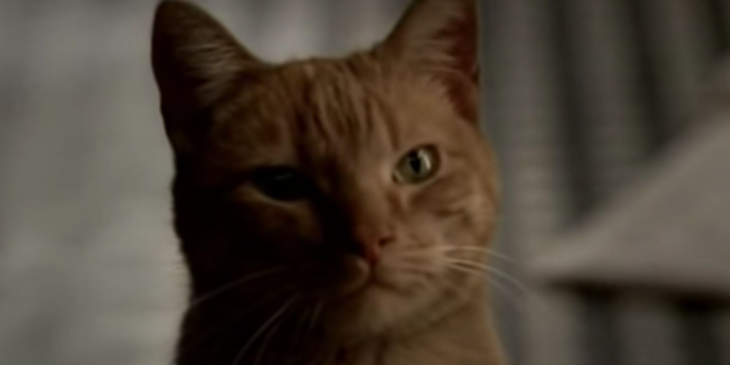 The Sopranos All 6 Animal Symbols For Tony (& What They Mean)